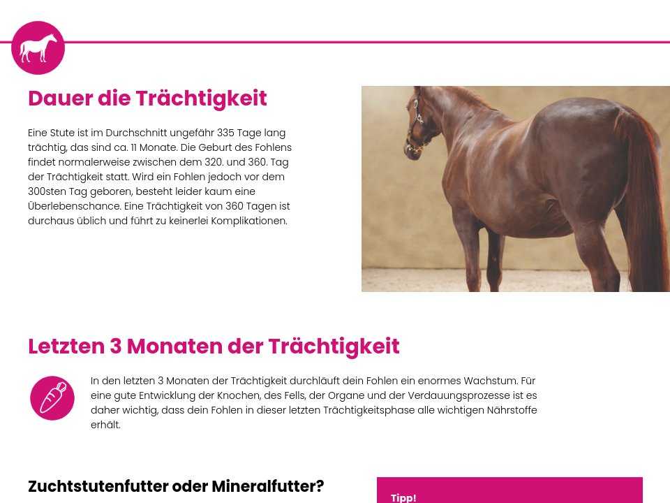 Trachtigkeit Pferd Rechner