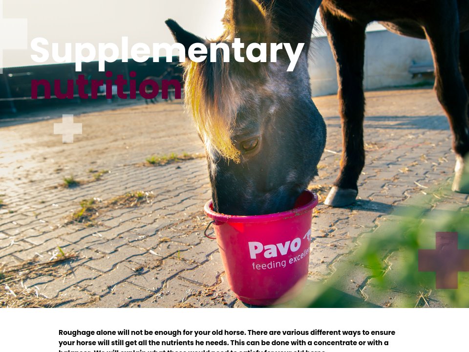Supplementary nutrition The Old Horse